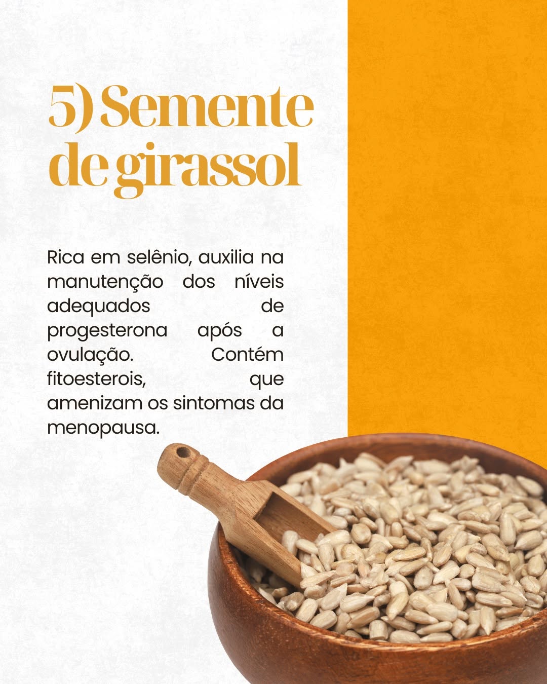 Semente de Girassol 200 g